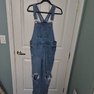 Arizona Jean Company Blue Denim Overalls